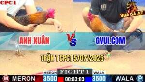 Trận 1 CPC1 5/7/2025 - GVUI.COM Hạ Anh Xuân Ngay Phát Súng Khai Màn