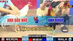 Trận 10 CPC1 5/7/2025 - Que Cọp Anh Khoa Đâm Bại Liệt Bướm Anh Bảo Nhỏ