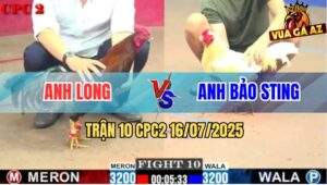 Trận 10 CPC2 16/7/2025 - Anh Long Phục Thù Anh Bảo Sting Thành Công