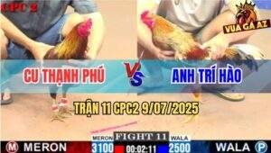 Trận 11 CPC2 9/7/2025 - Anh Trí Hào Phục Thù Anh Cu Thành Công