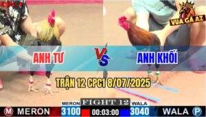 Trận 12 CPC1 8/7/2025 - Gà Chuối Anh Tư Chưa Thả Dí Ăn 5 Và Cái Kết