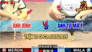Trận 12 CPC2 9/7/2025 - Bướm Có Chân Cúp Điện Xám Chuối Anh Tư Mã Ý