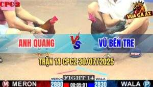 Trận 14 CPC2 30/7/2025 - Anh Quang Hạ Anh Vũ Bến Tre Trong 1 Nốt Nhạc