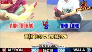 Trận 15 CPC2 4/7/2025 - Điều Tích Vôi Anh Long Đâm Úa Té Lên Té Xuống
