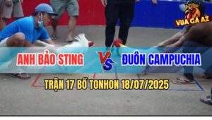 Trận 17 Bồ Ton Hon 18/7/2025 - Anh Bảo Sting Gặp Anh Đuôn Campuchia