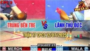 Trận 17 CPC2 11/7/2025 - Gà Anh Trung Trước Khi Tử Có Chân Cứu Chủ
