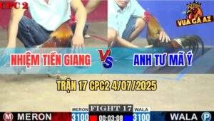 Trận 17 CPC2 4/7/2025 - Anh Tư Mã Ý Rớt Nài Với Anh Nhiệm Tiền Giang