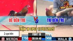 Trận 18 CPC3 17/7/2025 - Gà Anh Bé Bến Tre Chấp Ngông Bị Đá Bay Bồ