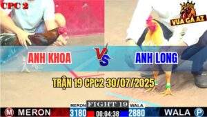 Trận 19 CPC2 30/7/2025 - Bướm Anh Long Kém 3 Chấm Lụm Xổ 100 Ngọt Sớt