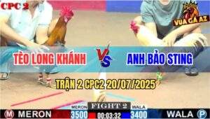 Trận 2 CPC2 20/7/2025 - Đám Úa Hiệu Anh Bảo Sting Quá Mai Độ
