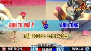 Trận 20 CPC2 25/7/2025 - Bướm Anh Tư Mã Ý Ra Đòn Độc Điều Bay Bồ