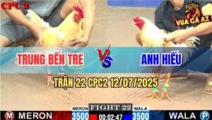 Trận 22 CPC2 11/7/2025 - Úa Anh Trung Đá 3 Chân Bướm Gãy Cổ Nằm Đống