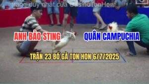 Trận 23 Bồ Ton Hon 6/7/2025 - Anh Bảo Sting Và Anh Quân Campuchia