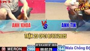 Trận 23 CPC1 8/7/2025 - Xám Mặt Râu Anh Tin Lên 2 Xử Gọn Đối Thủ