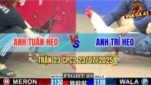 Trận 23 CPC2 23/7/2025 - Bướm Dính Cổ Cần, Điều Lọt Tim Lên Dĩa Cả Đôi