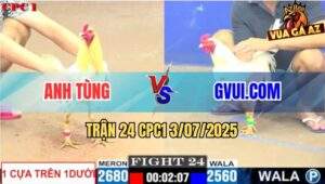 Trận 24 CPC1 3/7/2025 - Gà Anh Tùng Đá Trên Dưới Đâm Không Bỏ Chân Nào