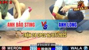 Trận 24 CPC2 16/7/2025 - Anh Bảo Sting Tiếp Tục Rớt Nài Với Anh Long