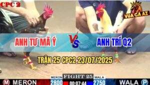Trận 25 CPC2 23/7/2025 - Điều Cọp Anh Tư Mã Ý Đá Bướm Xoay Vòng Vòng