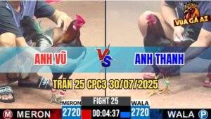 Trận 25 CPC3 30/7/2025 - Điều Chân Xanh Đá Chân Vàng Té Lên Té Xuồng
