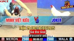 Trận 29 CPC1 10/7/2025 - Anh Minh Việt Kiều Bị Gà Joker Gạt Giò