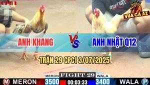 Trận 29 CPC1 3/7/2025 - Gà Cú Anh Khang Bắt Bướm Chỉ 1 Tay Nước