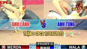 Trận 3 CPC2 11/7/2025 - Bướm Anh Tùng Đá Úa Anh Lành Chạy Xanh Mặt