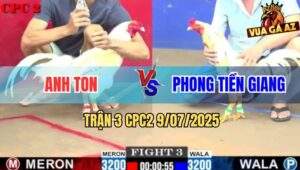 Trận 3 CPC2 9/7/2025 - Bướm Anh Ton Hạ Sát Đối Thủ Chỉ Sau 1 Tay Nước
