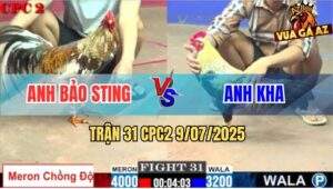 Trận 31 CPC2 9/7/2025 - Gà Cú Ăn Tiền Tỷ Của Bảo Sting Lên 2 Thất Bại