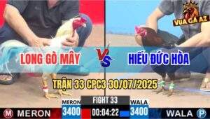 Trận 33 CPC3 30/7/2025 - Gà Điều Anh Hiếu Hạ Sát Bướm Chỉ 1 Tay Nước