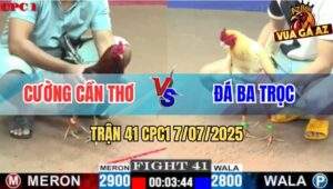 Trận 41 CPC1 7/7/2025 - Gà Điều Cường Bú Bướm Gãy Giò Rụng Nụ