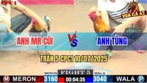 Trận 5 CPC1 10/7/2025 - Điều Bông Anh Tùng Đá Đối Thủ Nằm Xòe Đuôi