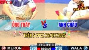 Trận 5 CPC2 23/7/2025 - Camelo Anh Châu Đâm Cựa Như Sam Sít