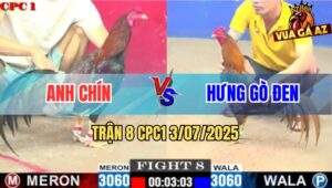 Trận 8 CPC1 3/7/2025 - Gà Điều Dí Bạc Bị Gà Khet Anh Hưng Đá Nằm Đống