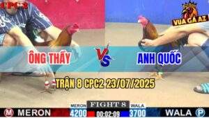 Trận 8 CPC2 23/7/2025 - Gà Anh Quốc Kém 5 Chấm Đá 5 Chân Lụm Kem
