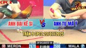 Trận 9 CPC2 23/7/2025 - Bướm Camelo Anh Tư Mã Ý Gãy 2 Cánh Phản 5 Lai