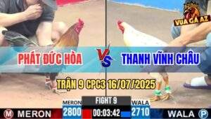 Trận 9 CPC3 16/7/2025 - Anh Phát Và Anh Thanh Bất Phân Thắng Bại