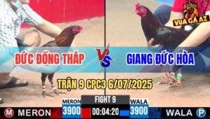 Trận 9 CPC3 6/7/2025 - Điều Cọp Anh Giang Đức Hòa Đá Đối Thủ Tai Biến