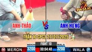 Trận 10 CPC3 27/7/2025 - Gà Anh Hưng Canh Chặn Hay Cúp Điện Đối Thủ