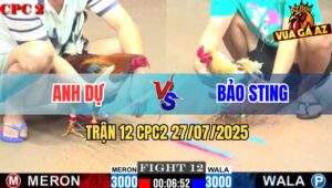 Trận 12 CPC2 27/7/2025 - Anh Bảo Sting Khiển Camelo Đâm Điều Rớt Nài