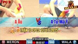 Trận 13 CPC2 13/7/2025 - Gà Camelo Của Anh Tư Mã Ý Té Giả