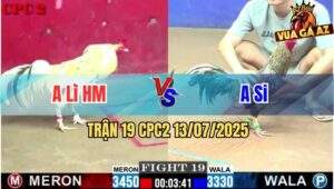 Trận 19 CPC2 13/7/2025 - Gà Anh Si Đá Cựa Đâm Toàn Ngay Ngực