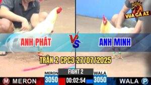 Trận 2 CPC3 27/7/2025 - Gà Bướm Anh Phát Nhấp 3 Chận Có Ngay Kết Quả
