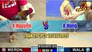 Trận 21 CPC2 13/7/2025 - Gà Bướm Anh Hùng Đá Chưa Tới 2 Tay Nước