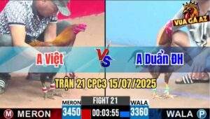 Trận 21 CPC3 15/07/2025 - Gà Anh Việt Cứ Nhấc Chân Là Cựa Tới