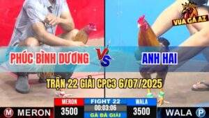 Trận 22 Giải CPC3 6/7/2025 - Phúc Bình Dương Vs Anh Hai
