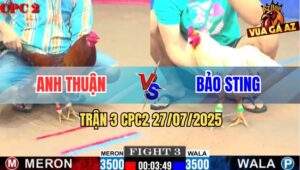 Trận 3 CPC2 27/7/2025 - Gà Bướm Hàng Hiệu Bảo Sting Đá Như Quái Vật