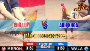 Trận 30 CPC3 6/7/2025 - Chú Luỹ Vs Anh Khoa