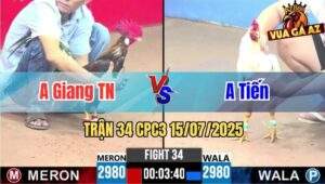 Trận 34 CPC3 15/07/2025 - Anh Giang Tây Ninh Vs Anh Tiến