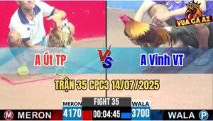 Trận 35 CPC3 14/07/2025 - Gà Anh Vinh Vũng Tàu Chấp Nửa Ký