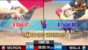 Trận 36 CPC3 14/07/2025 - Anh Bảo Vũng Tàu Vs Anh Tuấn Bình Dương